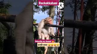 kaise बंदर ke ❤️ ke टुकड़े टुकड़े हो गए#shortsvideo #shortfunnyvideo #animallover