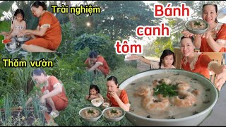 Hôm nay Trang ra thăm mía, hái rau nấu bánh canh tôm nước cốt dừa đậm chất miền tây ngon hết sẩy.