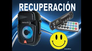 Reparación y Recuperación de Bocina (Cabina Activa Genérica) Adaptando Módulo y Amplificador