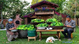 60 Days of Hard Working: Cucumbers - From Seeds to Harvest