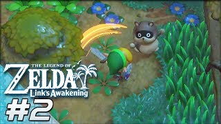 Lost in the Woods || The Legend of Zelda: Link's Awakening || 2