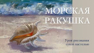 Рисуем морскую раковину сухой пастелью. Легко и быстро.