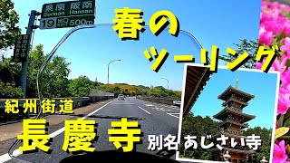 【大阪 泉南市】圧巻！行って良かった「長慶寺」別名あじさい寺 阪和自動車道でマジェスティSツーリング 美原南から高速走行　岸和田SAでコーヒーブレイク