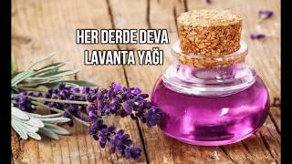 Her derde deva lavanta yağı