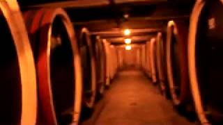 King's Wine Cellar - Oplenac,Serbia