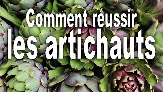 Comment réussir les artichauts