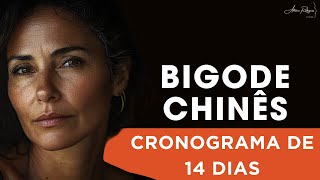 Cronograma contra Bigode Chinês