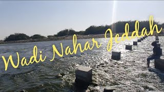 Wadi Nahar Jeddah, Lake in Jeddah