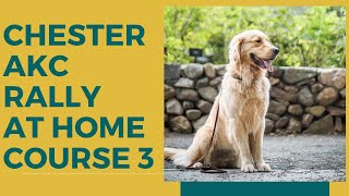 AKC Rally At Home Course 3 - Chester