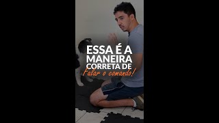 🕟 HORA CERTA de falar o comando na hora do treino | Adestramento Grátis | Cão Guardião