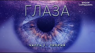 Глаза.Часть1 #Глаза  #Устройство_Глаз #глаза #Радужка #Весталия #школаСорадение