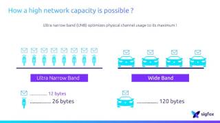 How A High Network Capacity Is Possible