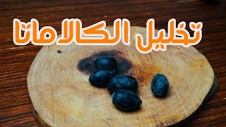 قبل ما تشتريه اعرفى طريقه عمل الكالاماتا الصحيحه