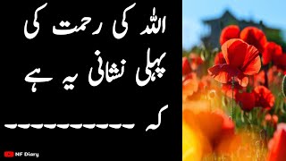 Allah Ki Rehmat Ki Pehli Nishani Ye Hai Ke / Most Beautiful Urdu Quotes / Golden Words In Urdu