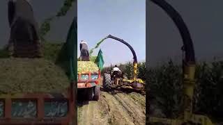 Celikel Silage Chopper🌽 chalta jaye, chalta jaye