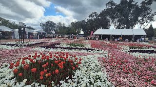 Floriade Flowers Festival Canberra Australia. Floriade/Design With Flowers /Spring Flower Show