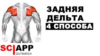 4 Способа Тренировать Заднюю Дельту Отталкиваясь От Физиологии | Джефф Кавальер