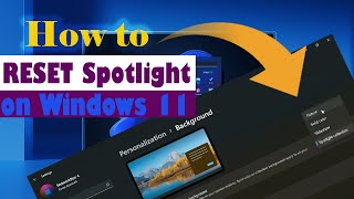 Hướng dẫn Cách Reset Spotlight trong Windows 11