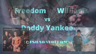 Freedom Williams vs Daddy Yankee (DJ SHABAYOFF RMX)