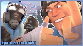 [SFM] Pyro Learns a New Trick