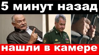 Шойгу в камере , погибла российская певица , новости комитета Михалкова