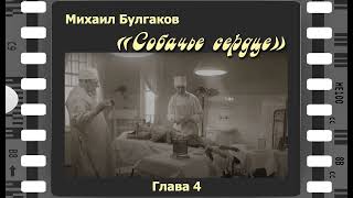 Михаил Булгаков "Собачье сердце". 4-я глава. Читает Сергей Рубашкин.