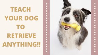 How to Teach ANY Dog to Retrieve | Dog Training Tutorial