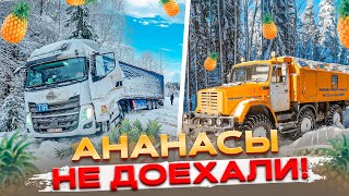 Ананасы не Доехали