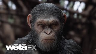 Creating Caesar's World | War for the Planet of the Apes VFX | Wētā FX