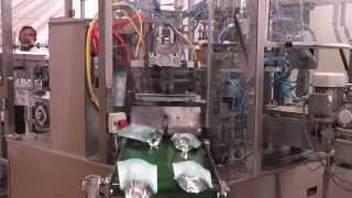 Pick Fill Seal Machine for Packing products in Preformed Pouches