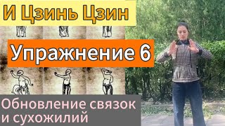 Шестое движение И Цзинь Цзин «Расправить крылья, выпустить когти». Урок3