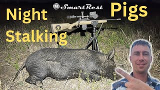 Stalking Pigs At Night