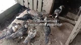 Jangan Ngatur Tuhan || Jhon lbf