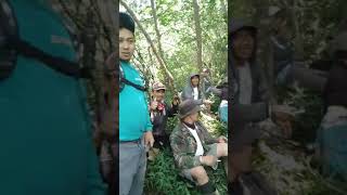 Petani Hutan Singosari  KTH Wonosoborejo di Lereng Gunung Arjuno