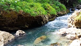 relaxing nature - the sound of heavy rain lullabies - KeepRaining