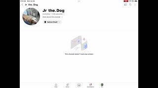 What happened to jr the dog?