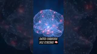 Datos Curiosos del Cerebro Humano 🧠#shorts #viral #datoscuriosos