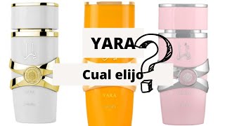 Que YARA elijo? Te cuento TODO!!