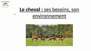 Conférence - Le cheval : ses besoins, son environnement