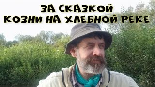 Козни на хлебной реке