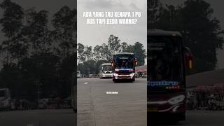 Momen 2 bus Sumatera berangkat bersama