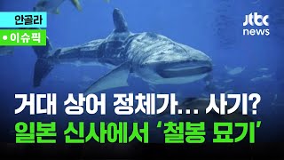 ①거대 상어 정체가… 사기? ②일본 신사에서 '철봉 묘기'