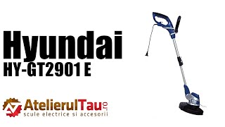 Hyundai HY-GT2901 E - Trimmer gazon, 650 W, 290 mm - Prezentare&Test in sarcina