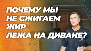 Несмотря на то, что энергия в покое добывается из жира