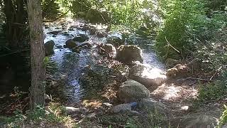 Bonita primavera decorada en la Sierra Norte de Madrid, España.