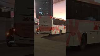 Olha Que Lindo Esse Ônibus Rosa Da Empresa MarTur De Recife