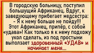 Как УДАВ африканца медсестре в трусы залез! Сборник свежих анекдотов! Юмор!