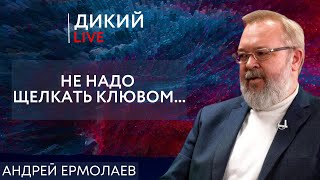 Баш на баш или травмы неудач. Андрей Ермолаев. Дикий LIVE.