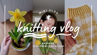 vlog 19/24 | мое вязанние в мае 🧶 много жаккрада ✨️ готовая работа и масштабный процесс 💛 покупки