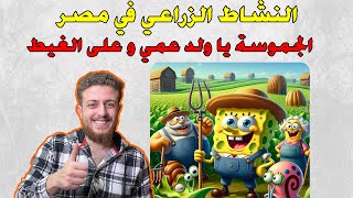 النشاط الزراعي في مصر| أولى ثانوي جغرافيا